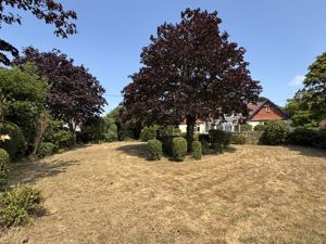 Photo 6- click for photo gallery